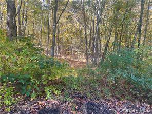 0 Budd LN, Millerton, NY 12546