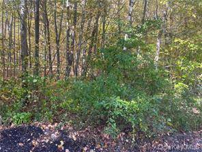 0 Budd LN, Millerton, NY 12546