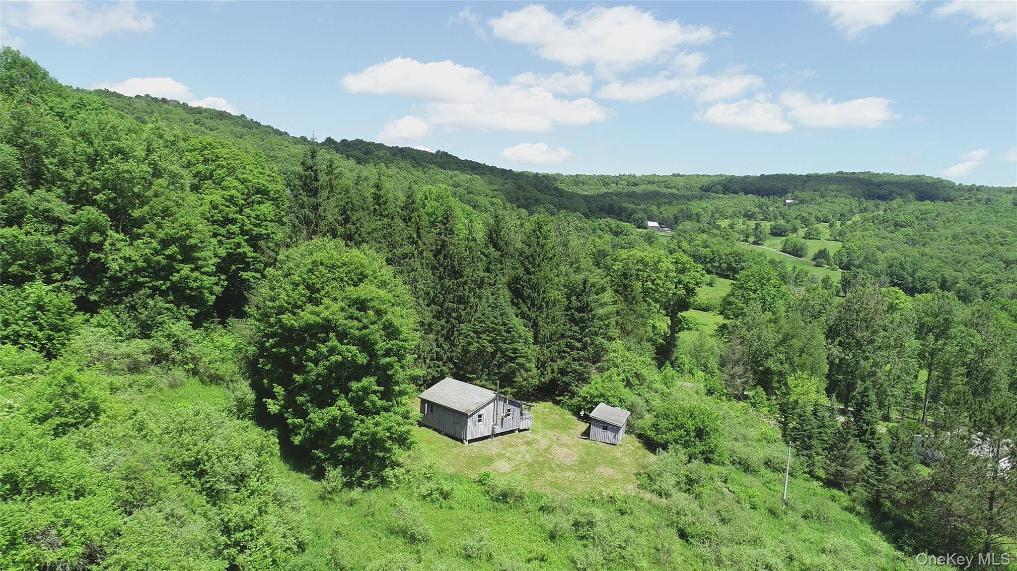 2636 Murphy Hill RD, Andes, NY 13731