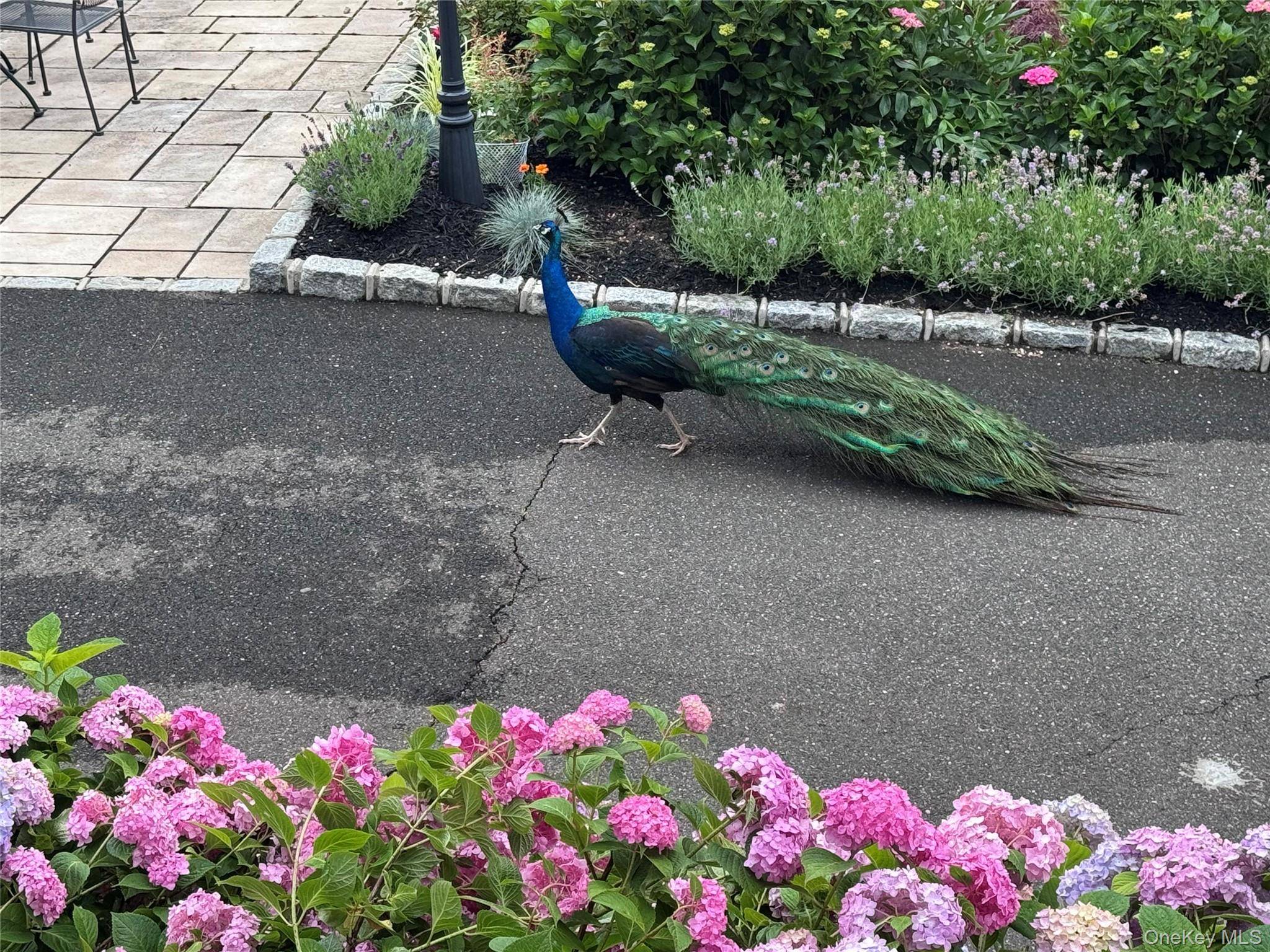 314 Mill Hill RD, Mill Neck, NY 11765