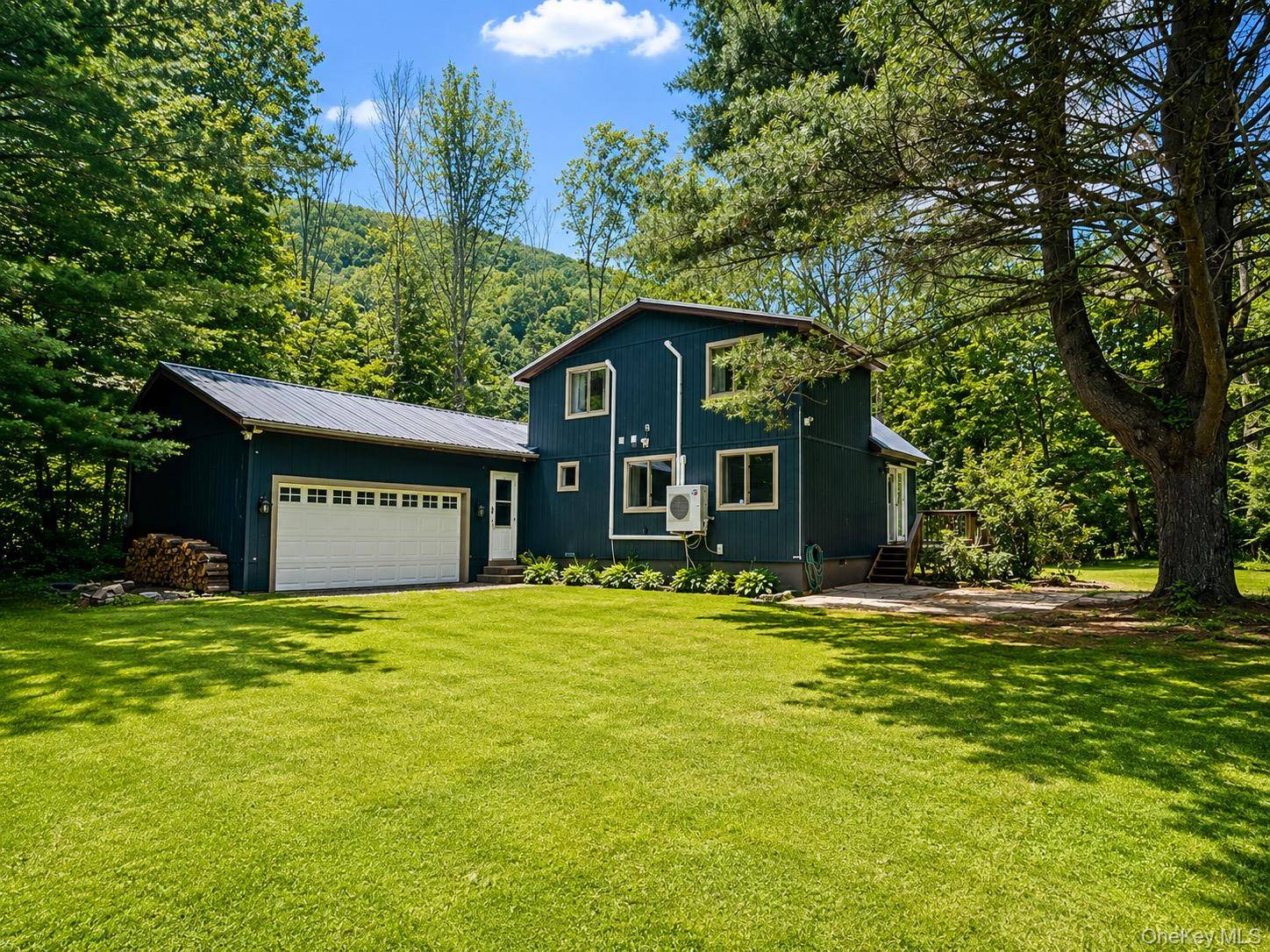 284 Mountain PASS, East Branch, NY 13756