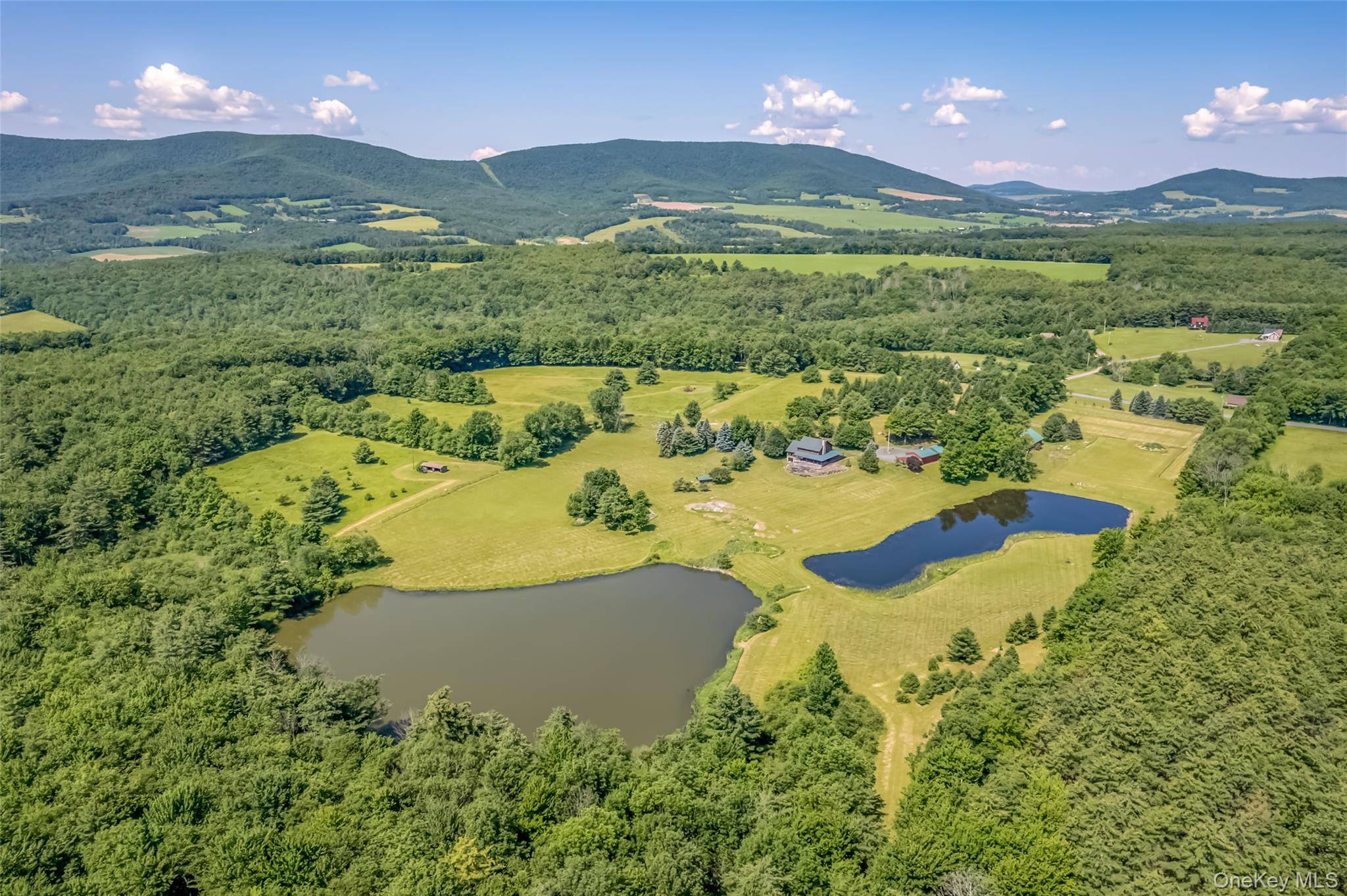 688 Bruce Porn RD, Stamford, NY 12167