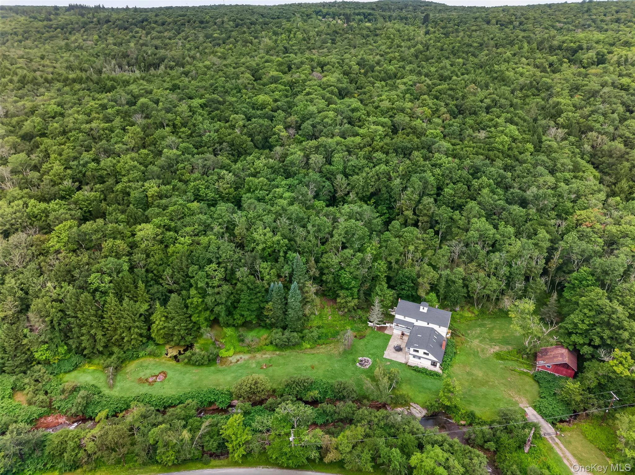 609 Grooville RD, Livingston Manor, NY 12758