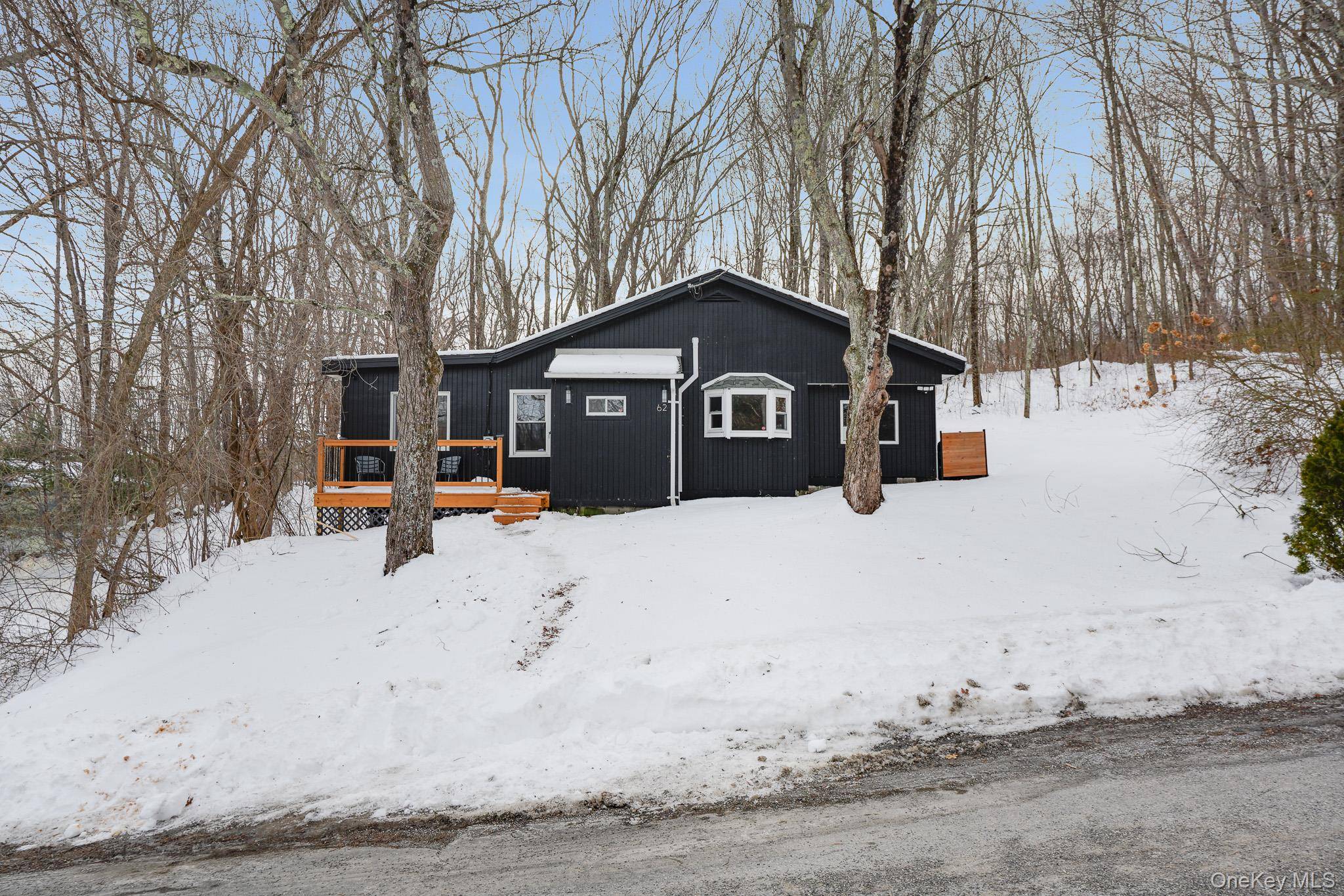 62 Netherwood PLZ, Salt Point, NY 12578