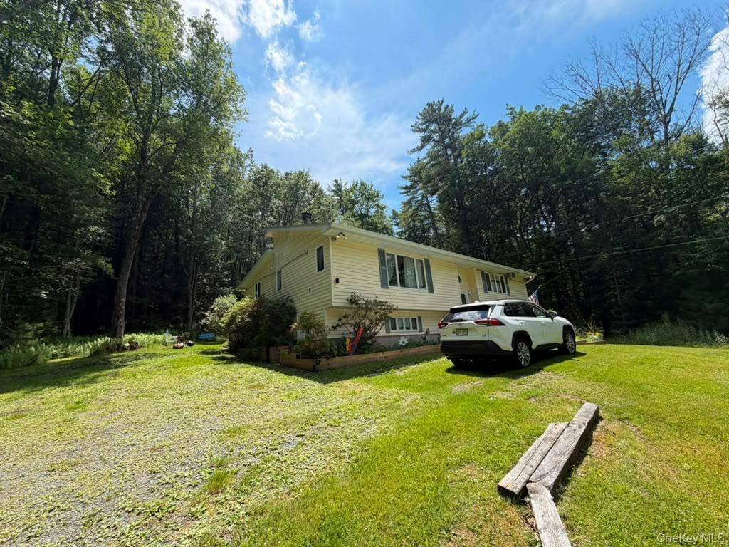 60 Highland Lake RD, Eldred, NY 12732