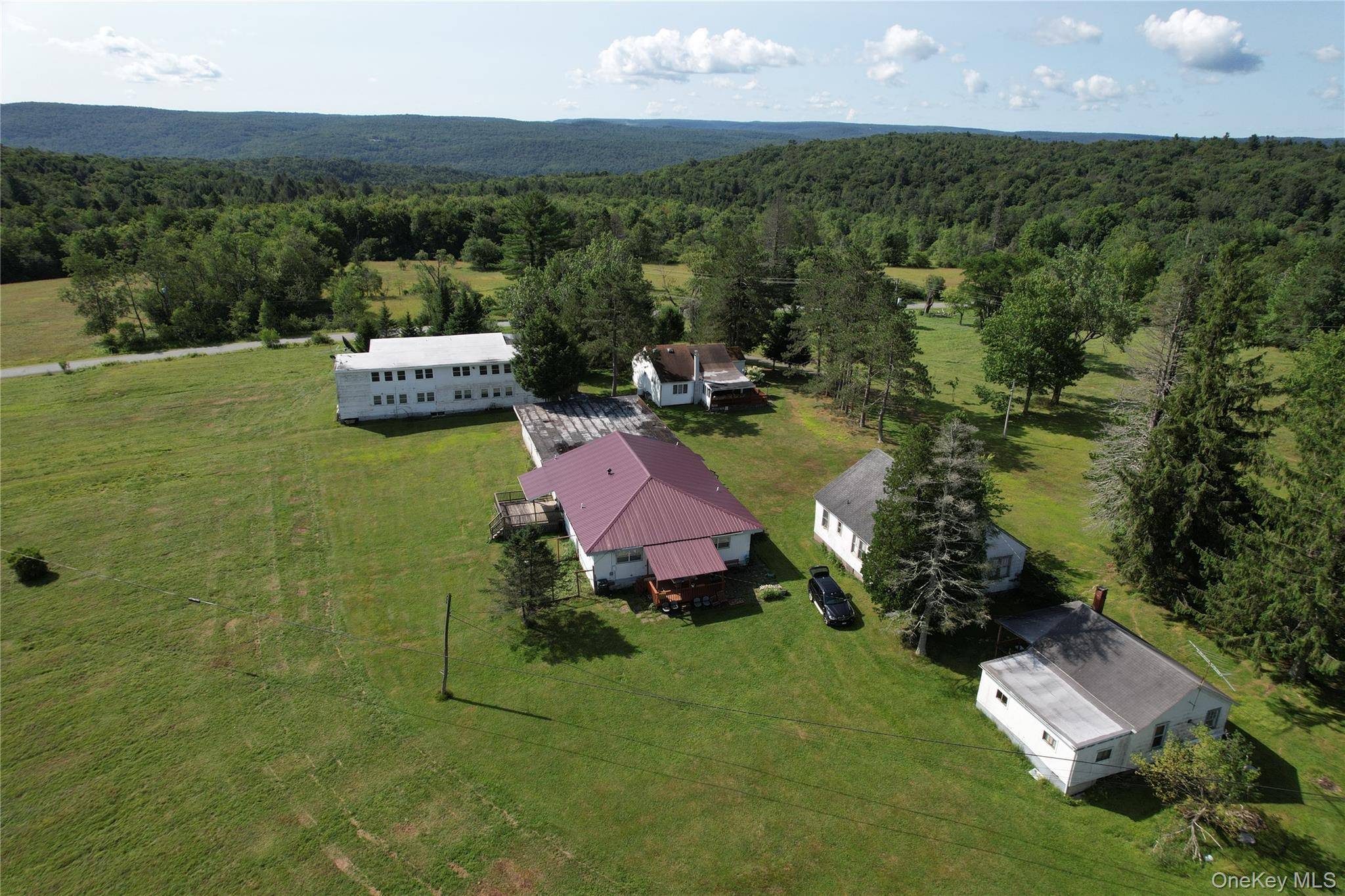 40 Spartan Hill RD, Livingston Manor, NY 12758