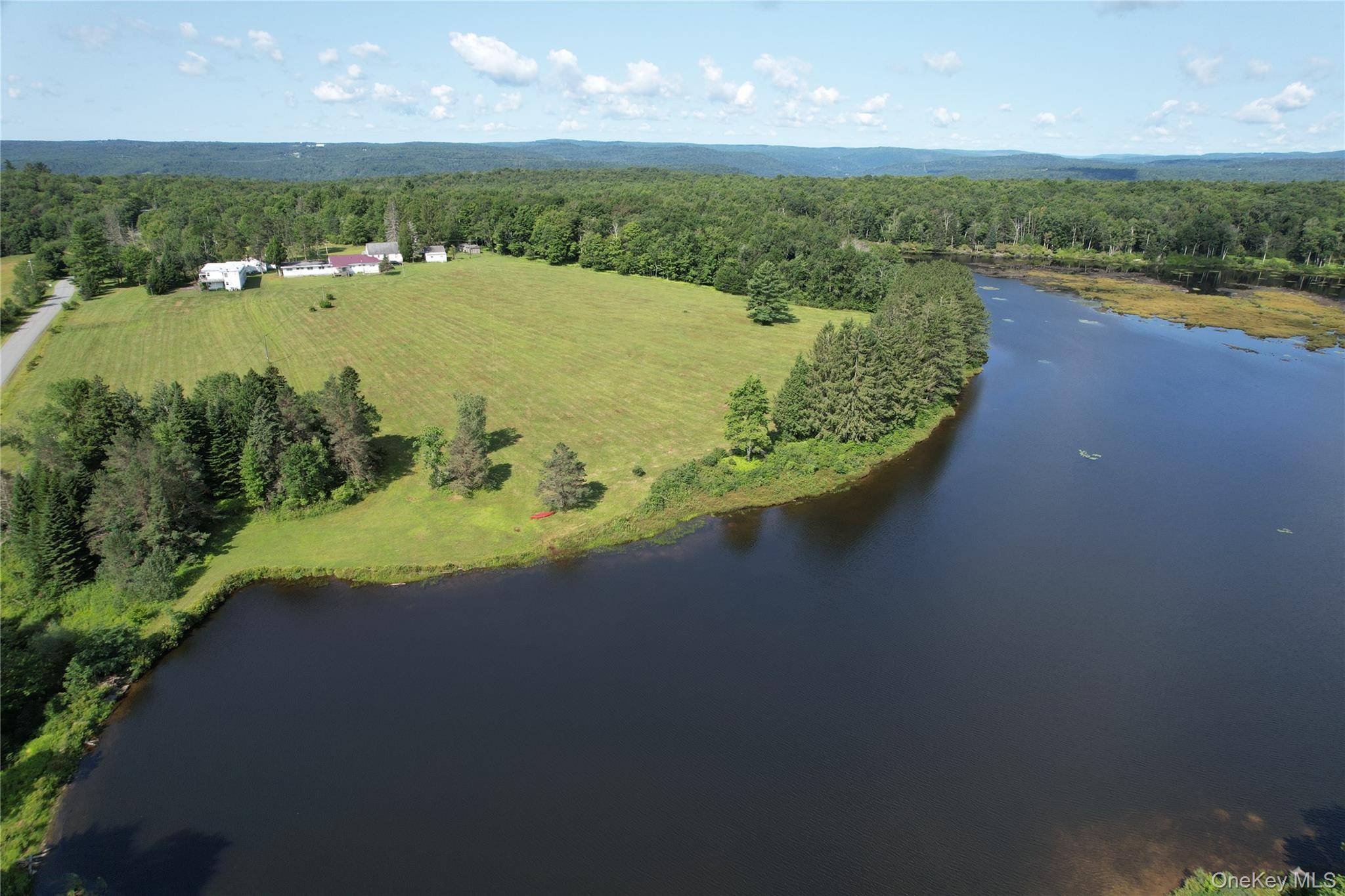 40 Spartan Hill RD, Livingston Manor, NY 12758