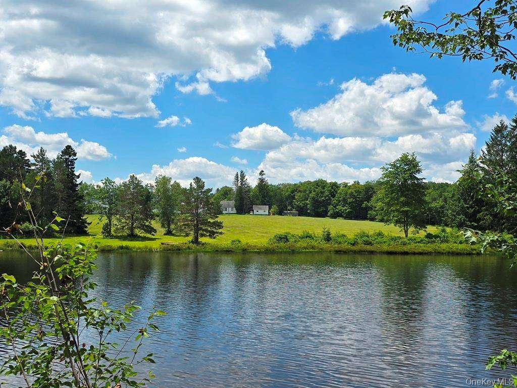 40 Spartan Hill RD, Livingston Manor, NY 12758