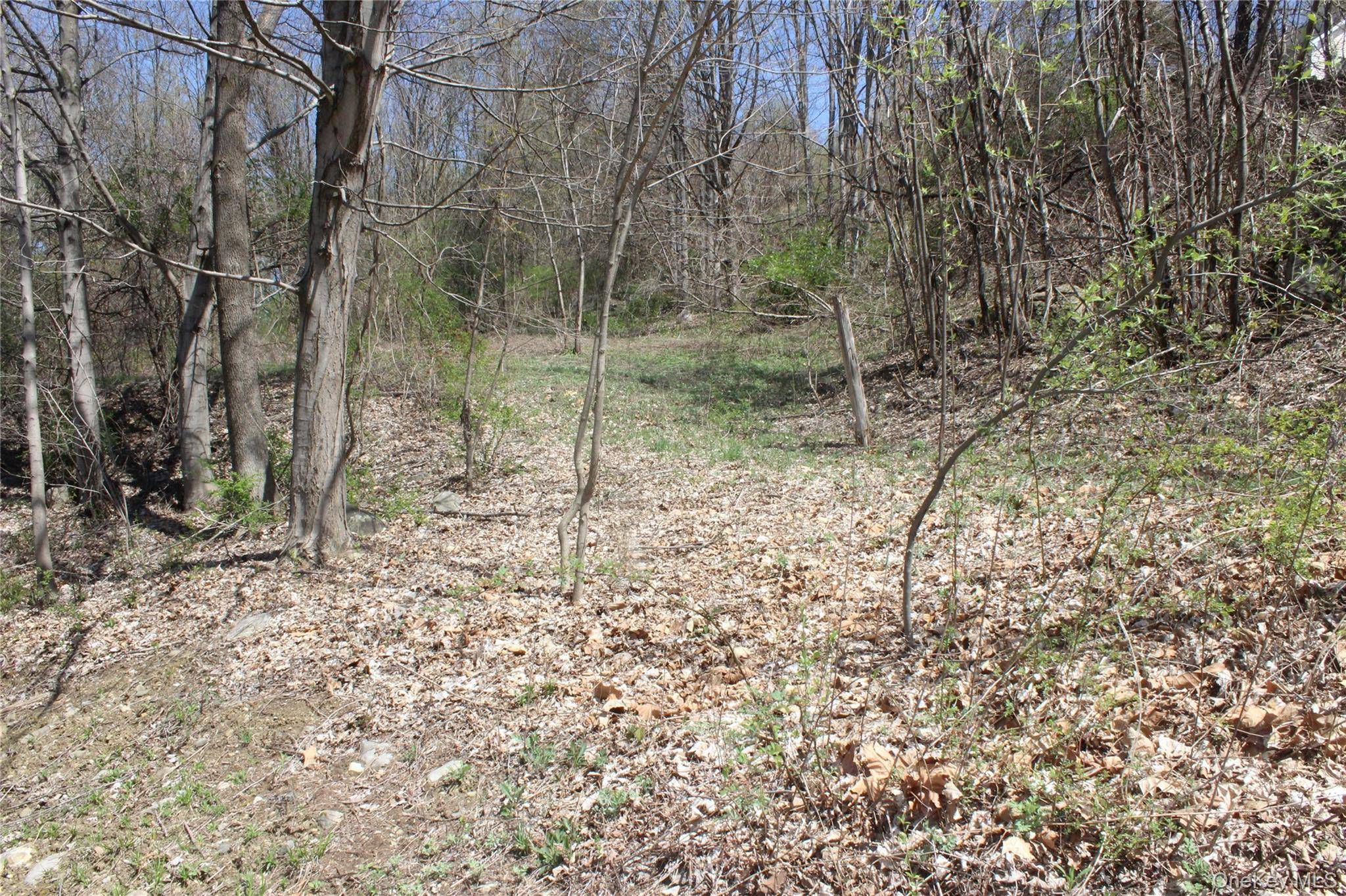 0 Old State Route 22, Amenia, NY 12501