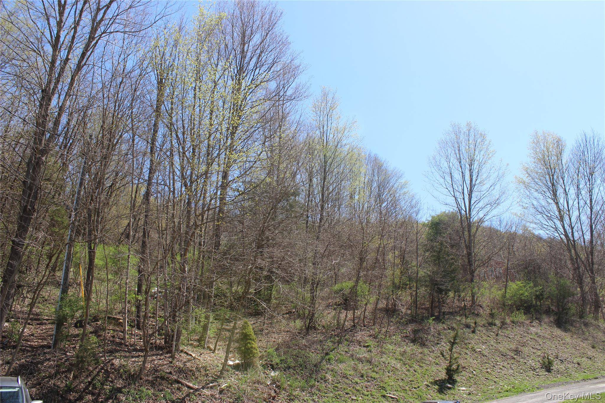 0 Old State Route 22, Amenia, NY 12501