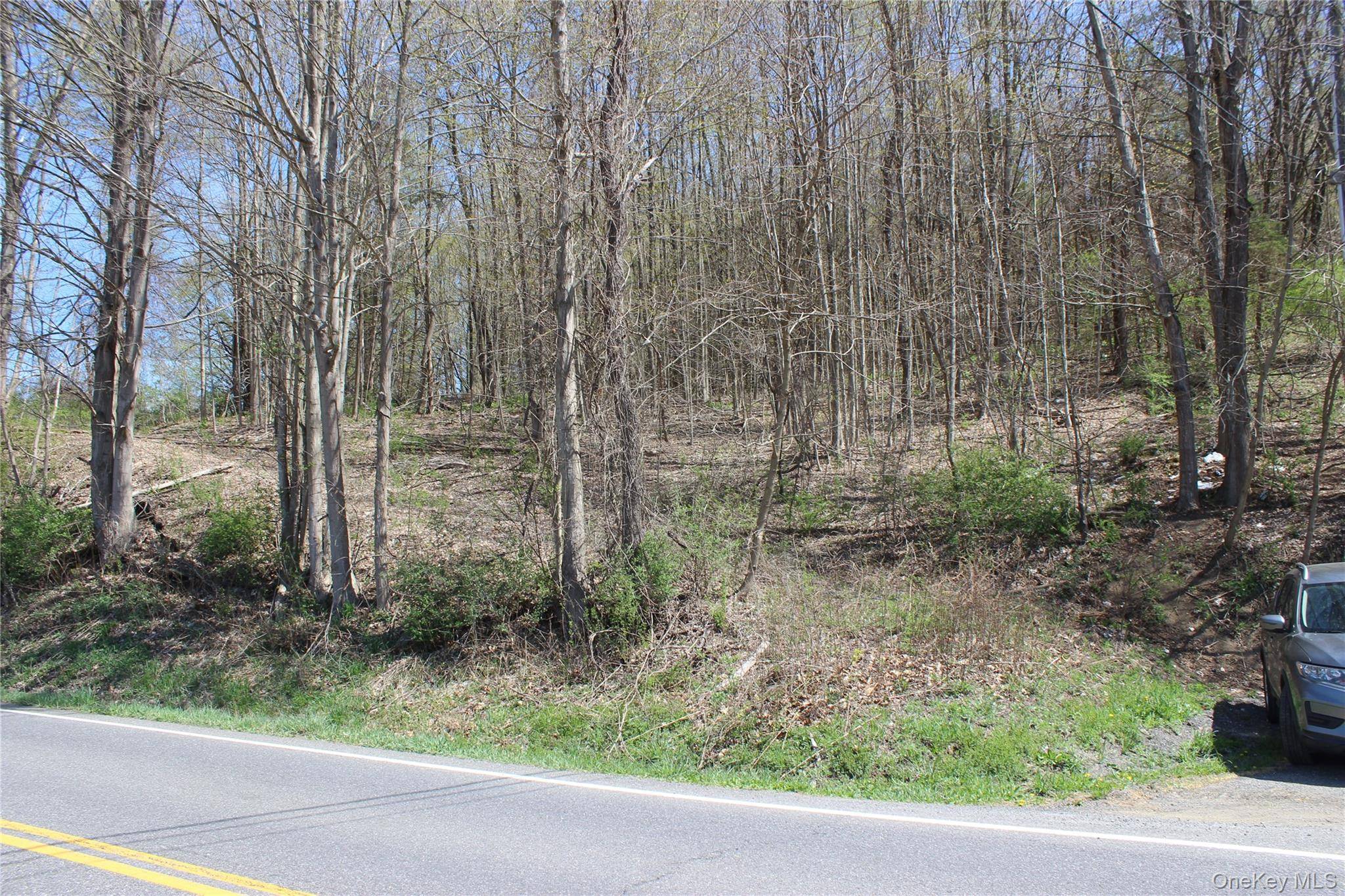 0 Old State Route 22, Amenia, NY 12501