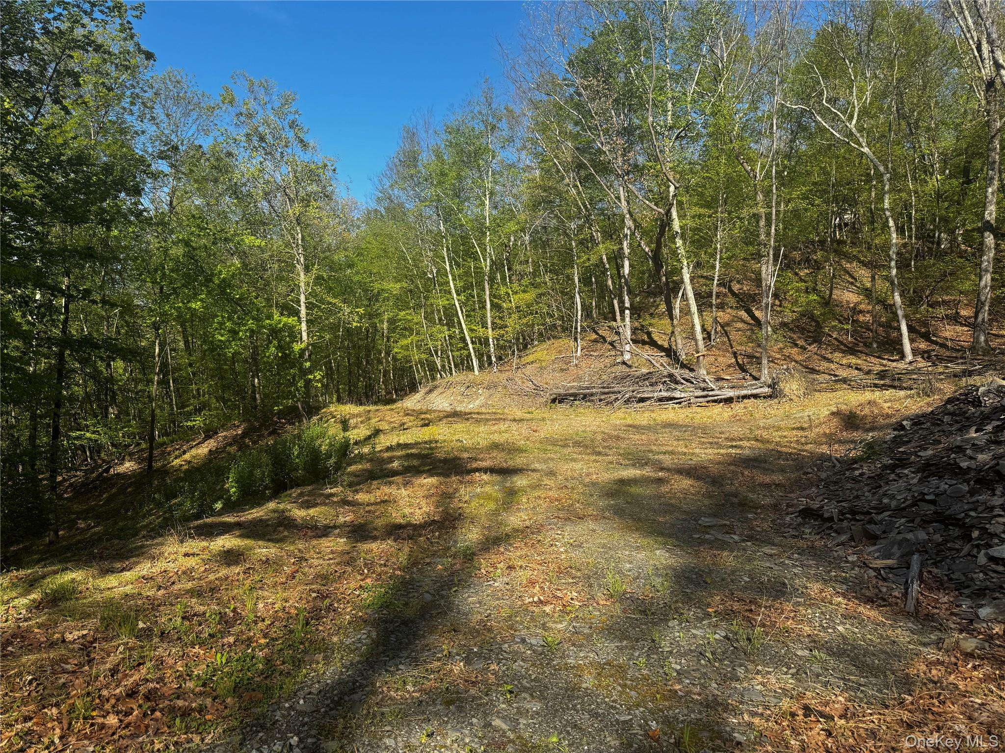 Hall Hill RD, Ancram, NY 12502
