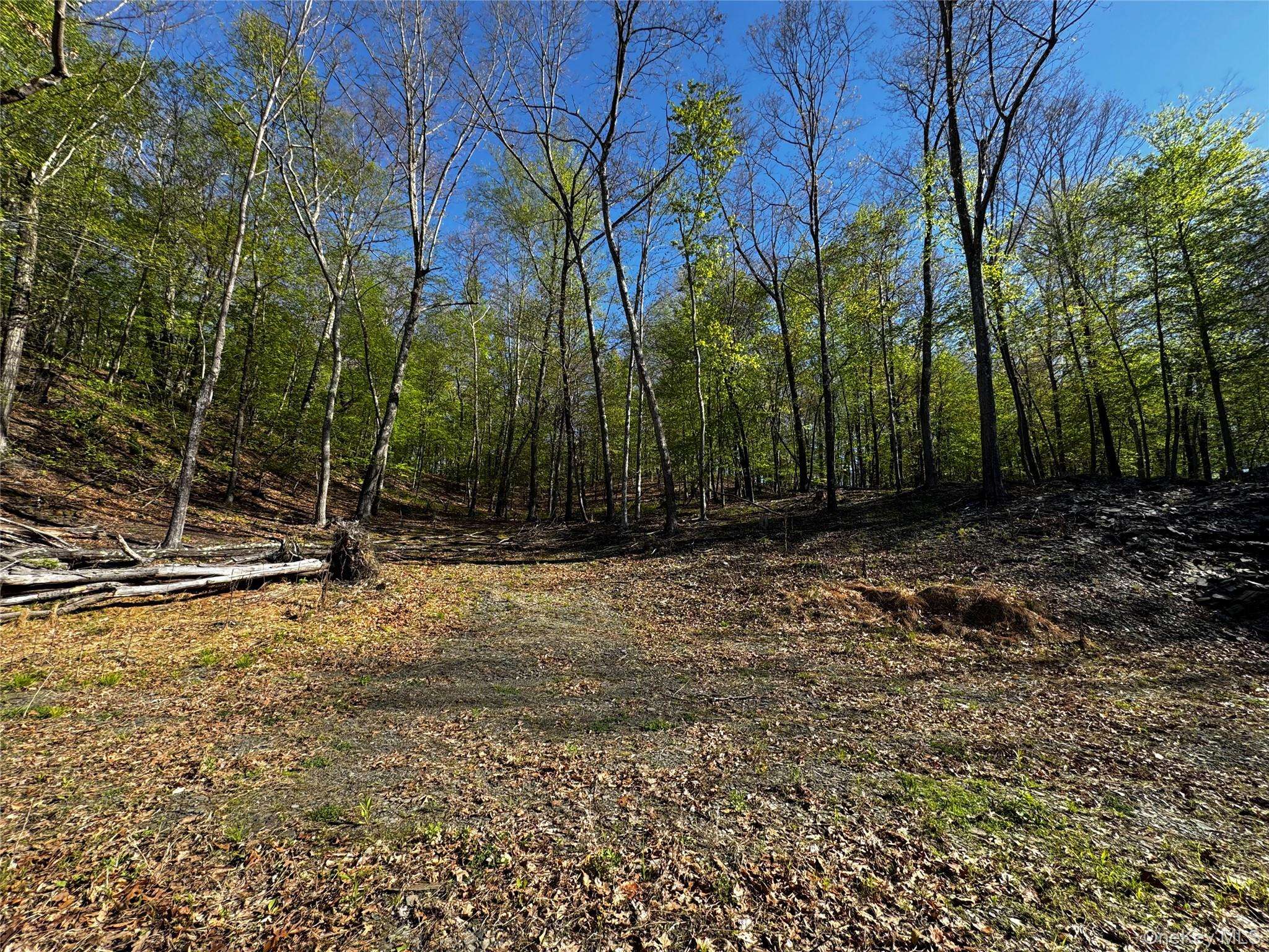Hall Hill RD, Ancram, NY 12502