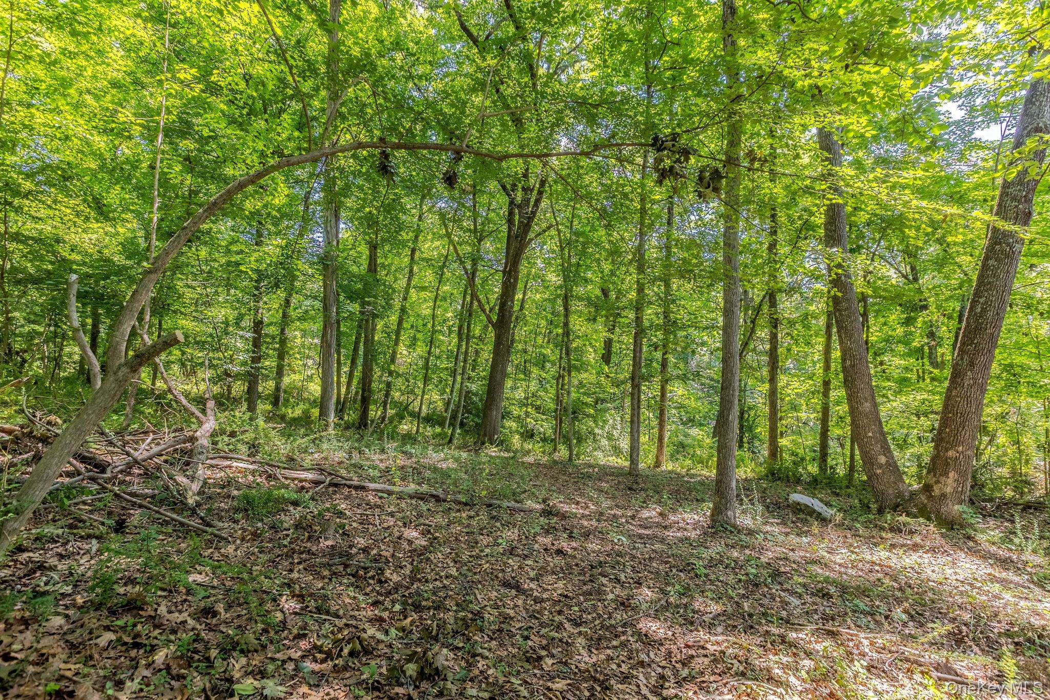 Woodin LN, Pawling, NY 12564