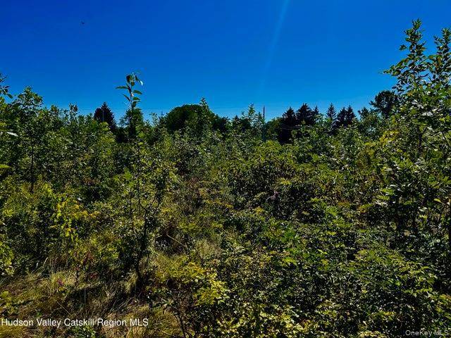 001 N Vernon ST, Athens, NY 12015