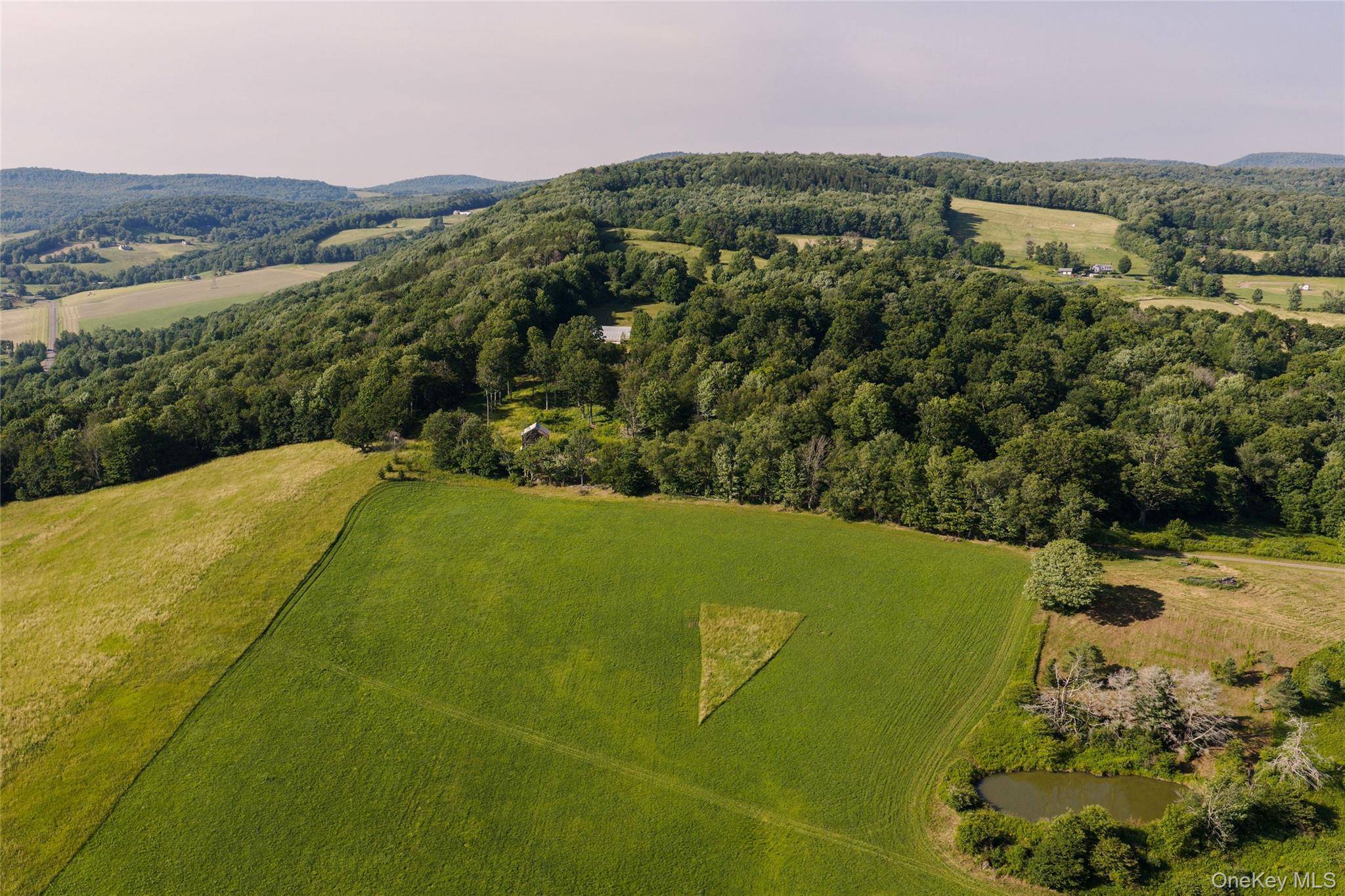 377 Reinertsen Hill RD, Bovina Center, NY 13740