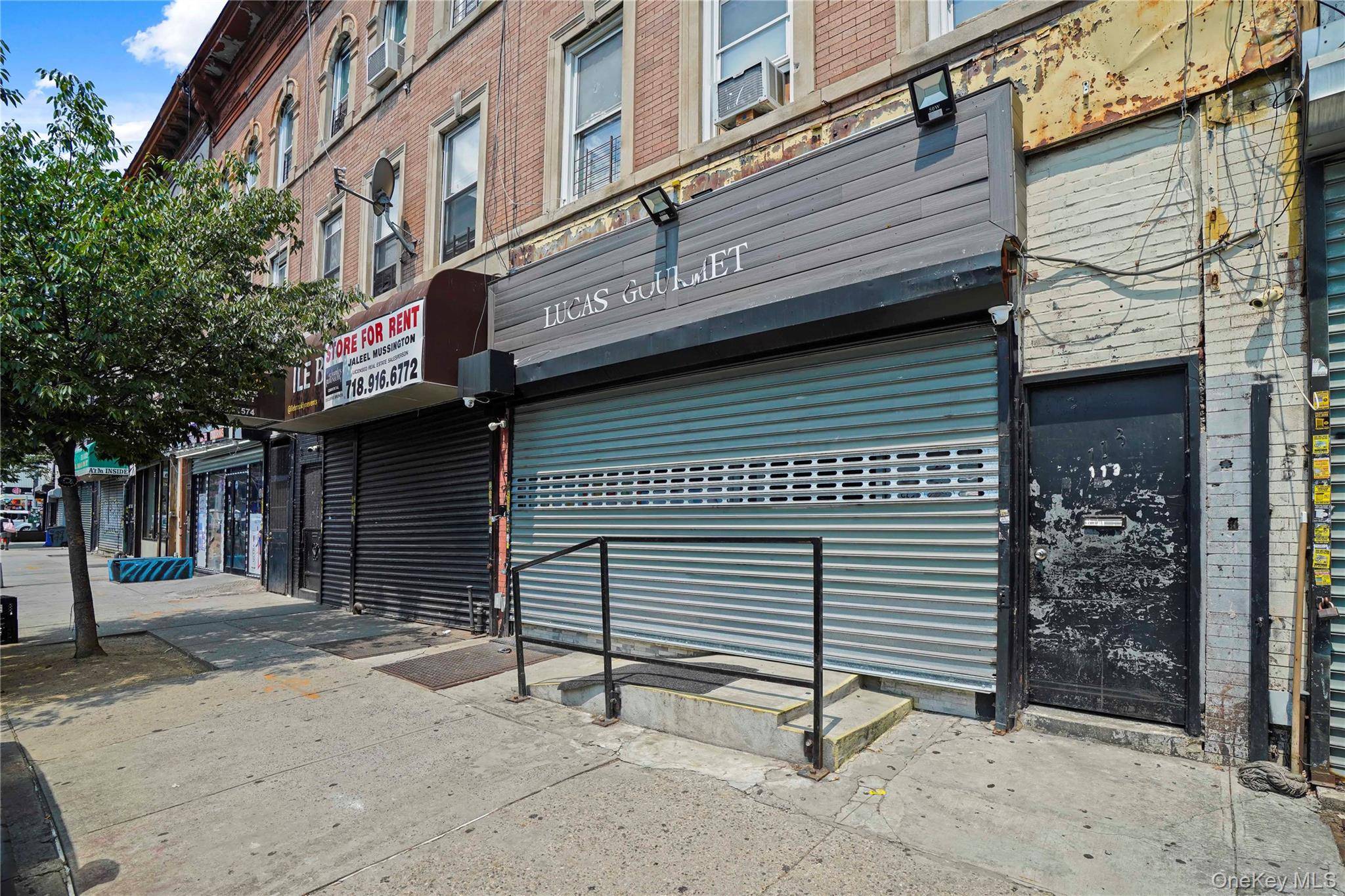 113 Belmont AVE, Brooklyn, NY 11212