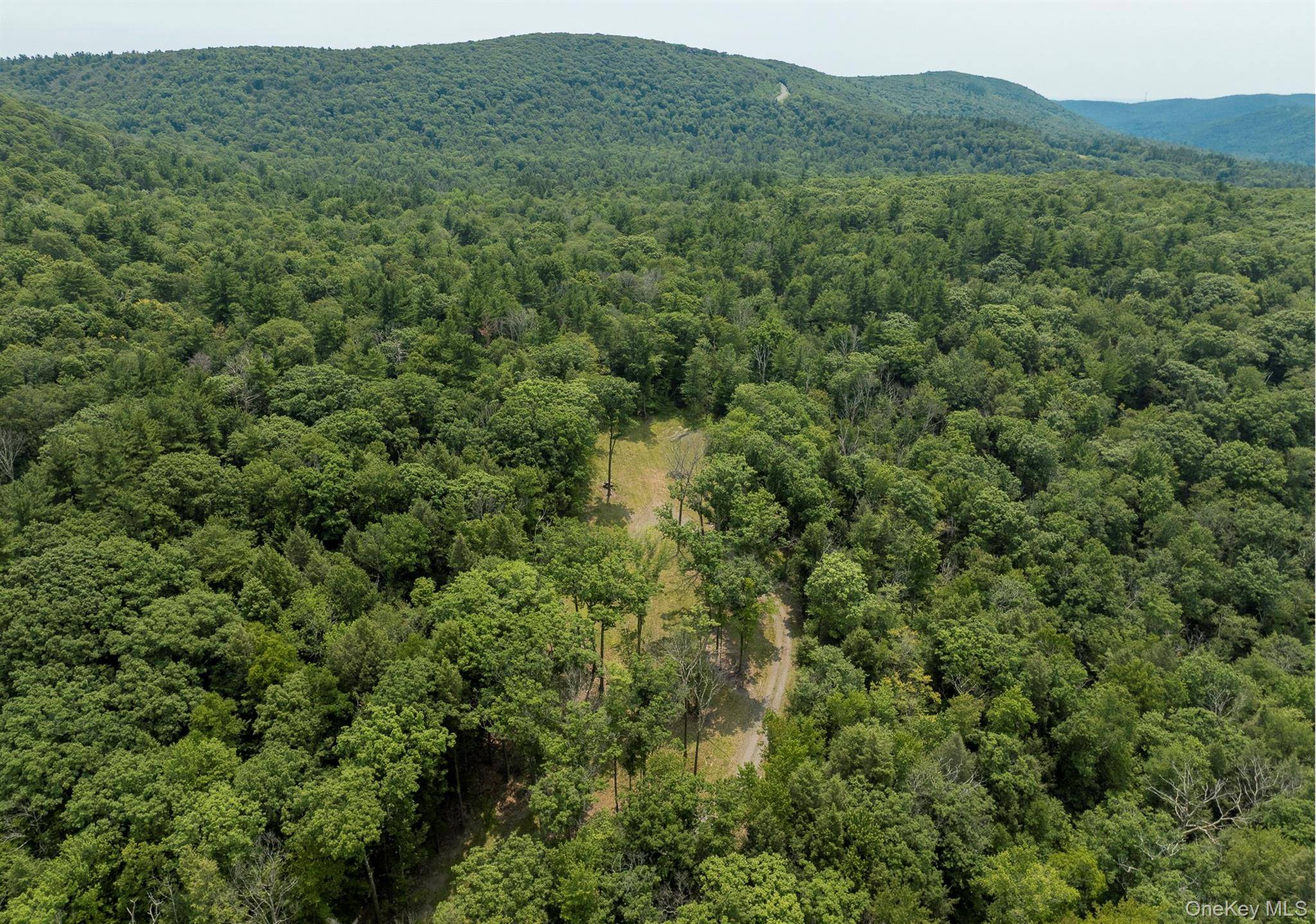 276 E Hill RD, Austerlitz, NY 12017