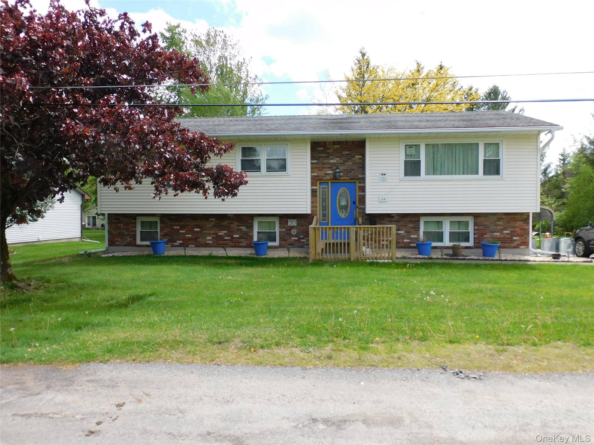 30 Kelly AVE, Liberty, NY 12754