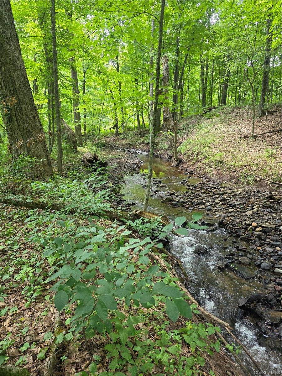 208 R McLaren Road EXT, Cairo, NY 12482