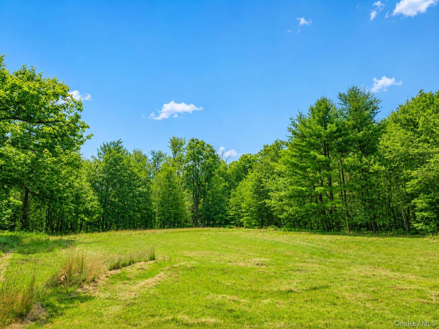 94-100 Dingle Daisy RD, Monticello, NY 12701
