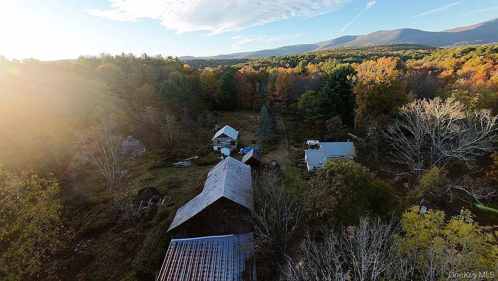 55 Hill RD, Accord, NY 12404