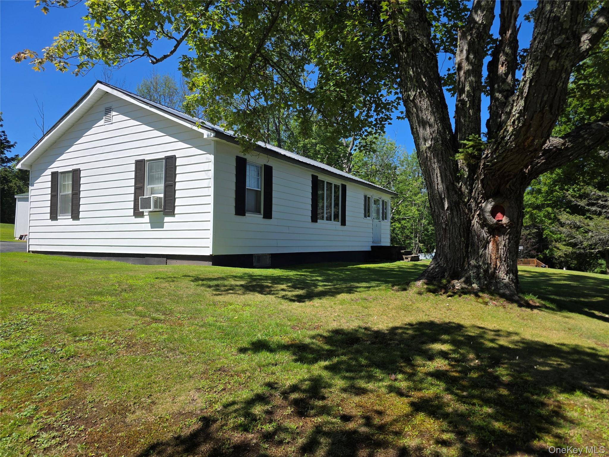 12 Winthrop AVE, Liberty, NY 12754