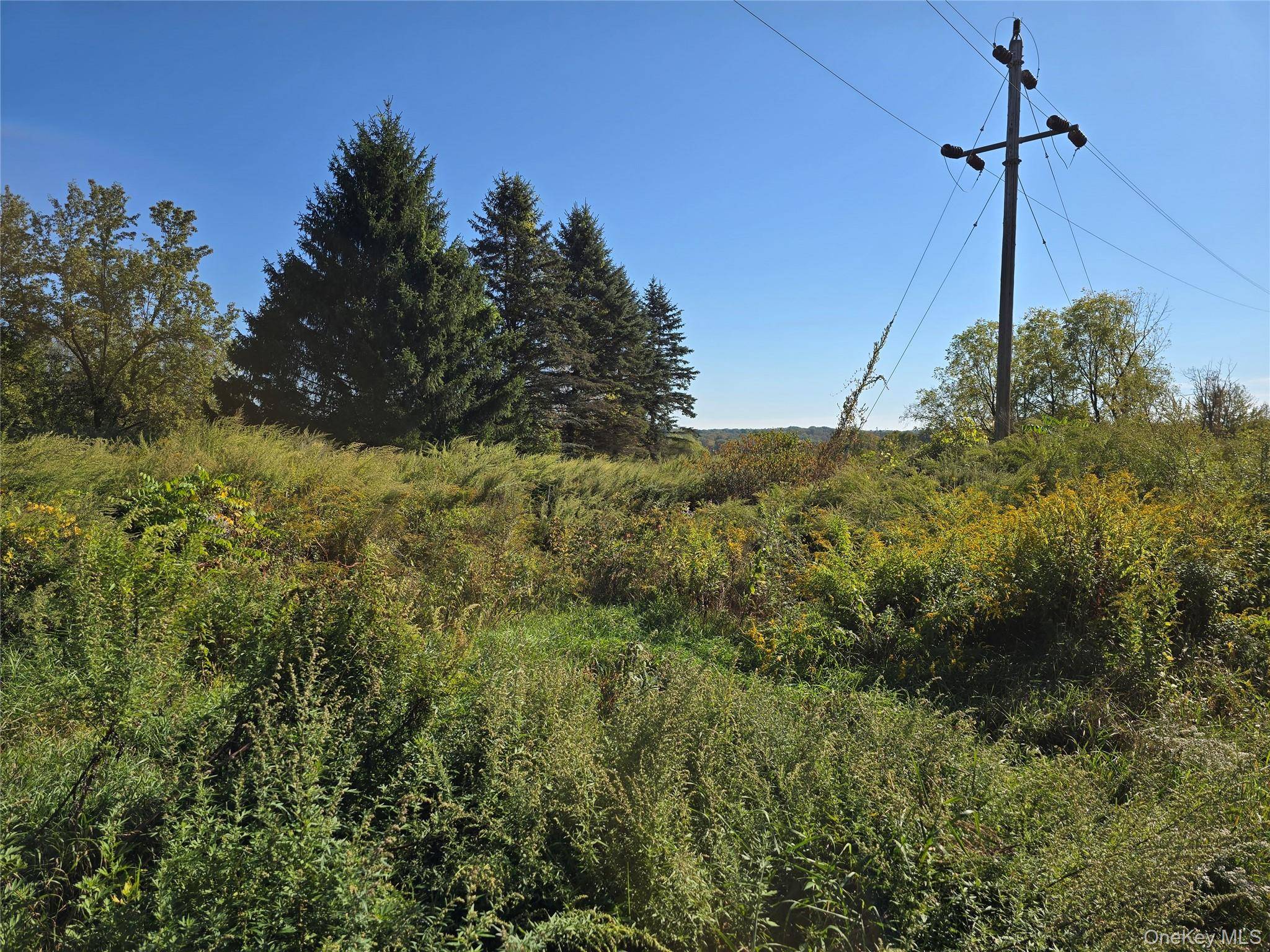 171 Winterton RD, Bloomingburg, NY 12721