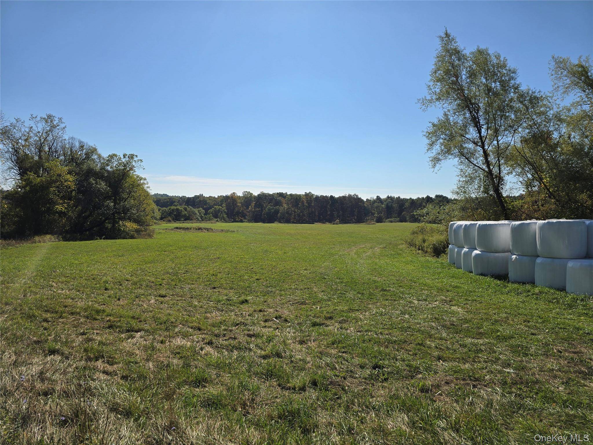 171 Winterton RD, Bloomingburg, NY 12721