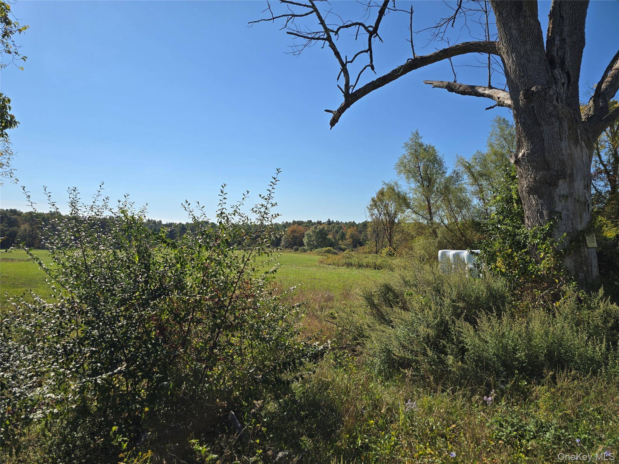 171 Winterton RD, Bloomingburg, NY 12721