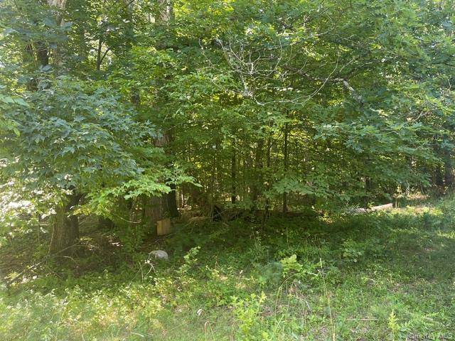 171 Woodland DR, Cairo, NY 12413