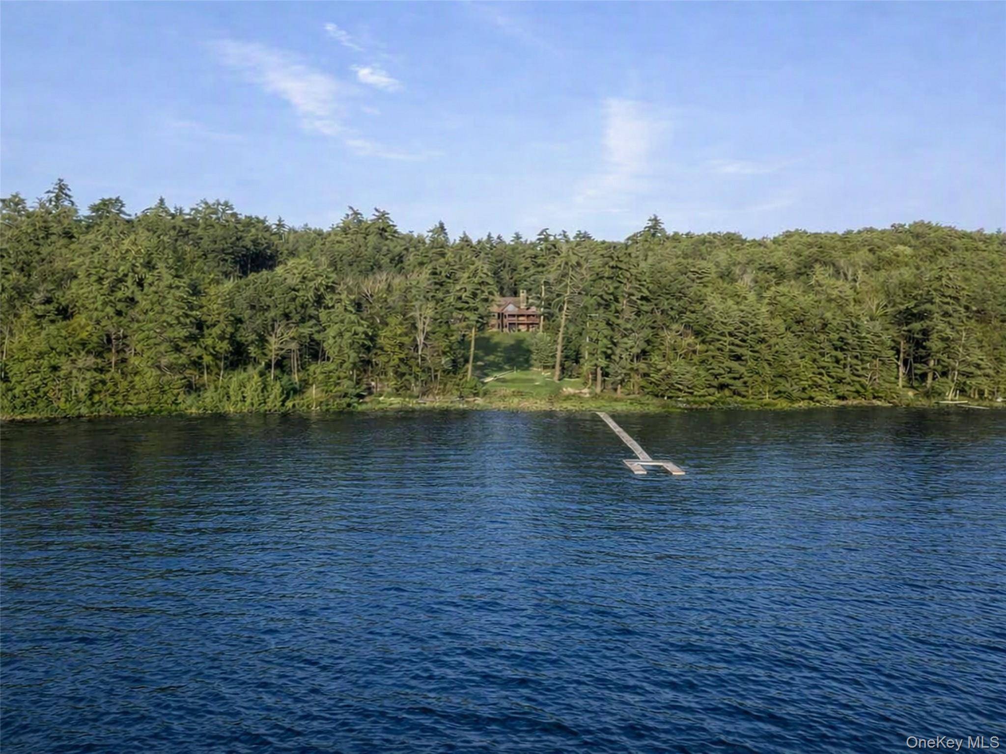 60 Top Ridge TRL, White Lake, NY 12786