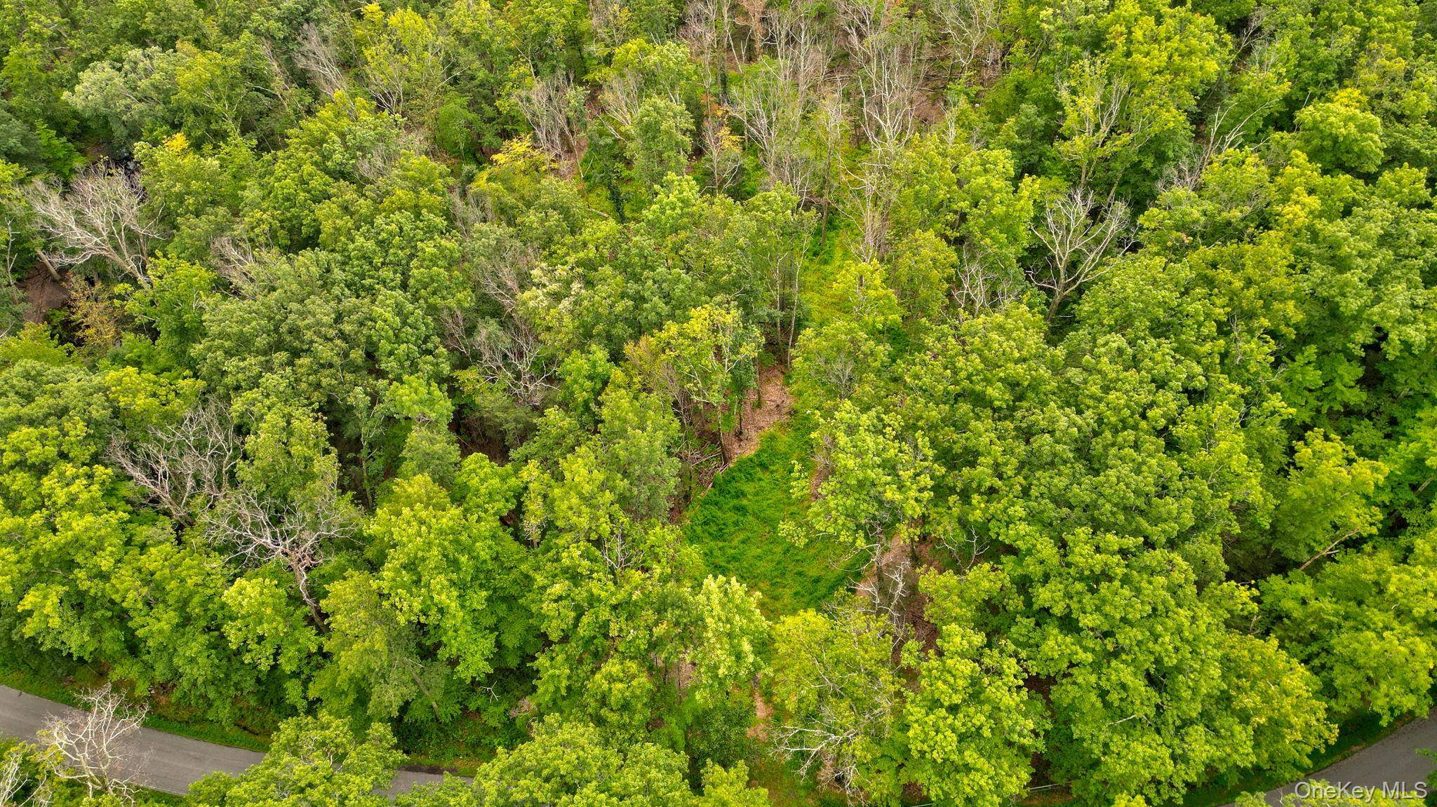 Lot 1 Pantelop RD, Bloomingburg, NY 12790