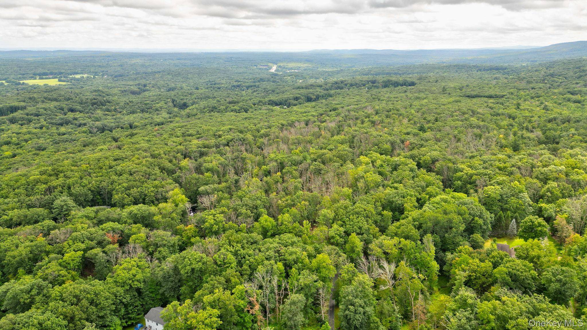 Lot 1 Pantelop RD, Bloomingburg, NY 12790