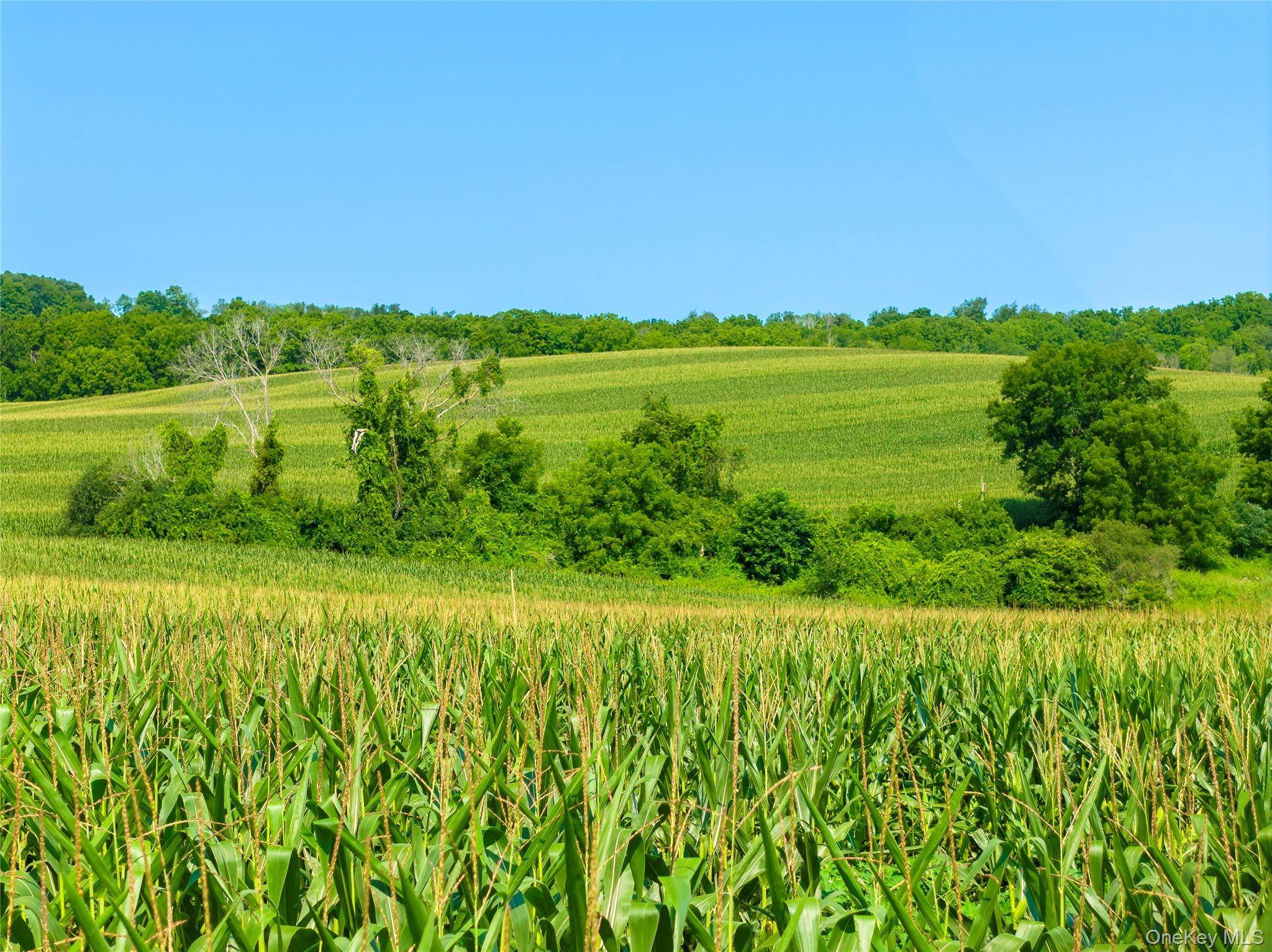 5246 Route 22, Amenia, NY 12501