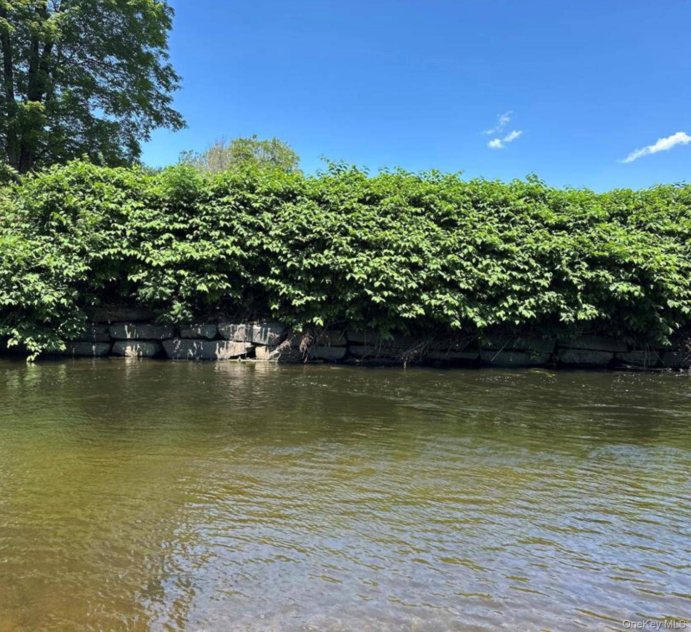 40 River ST #2, Livingston Manor, NY 12758