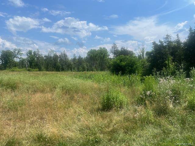 35 Pulcher Avenue, Hudson, NY 12534
