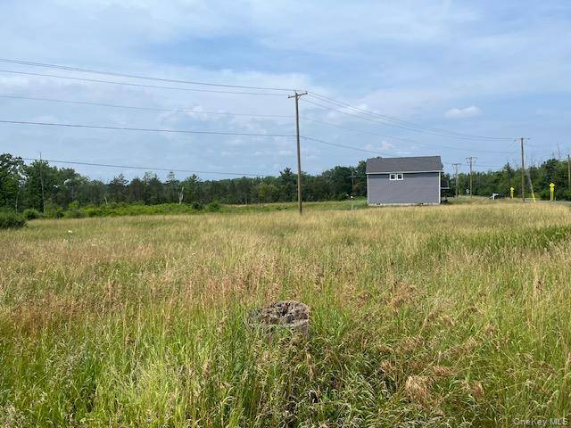 35 Pulcher Avenue, Hudson, NY 12534