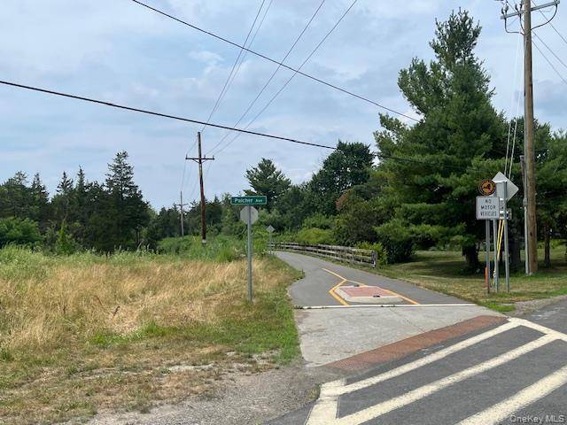 Pulcher, Hudson, NY 12534