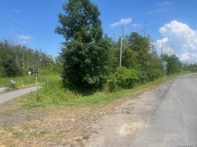 Pulcher AVE, Hudson, NY 11944