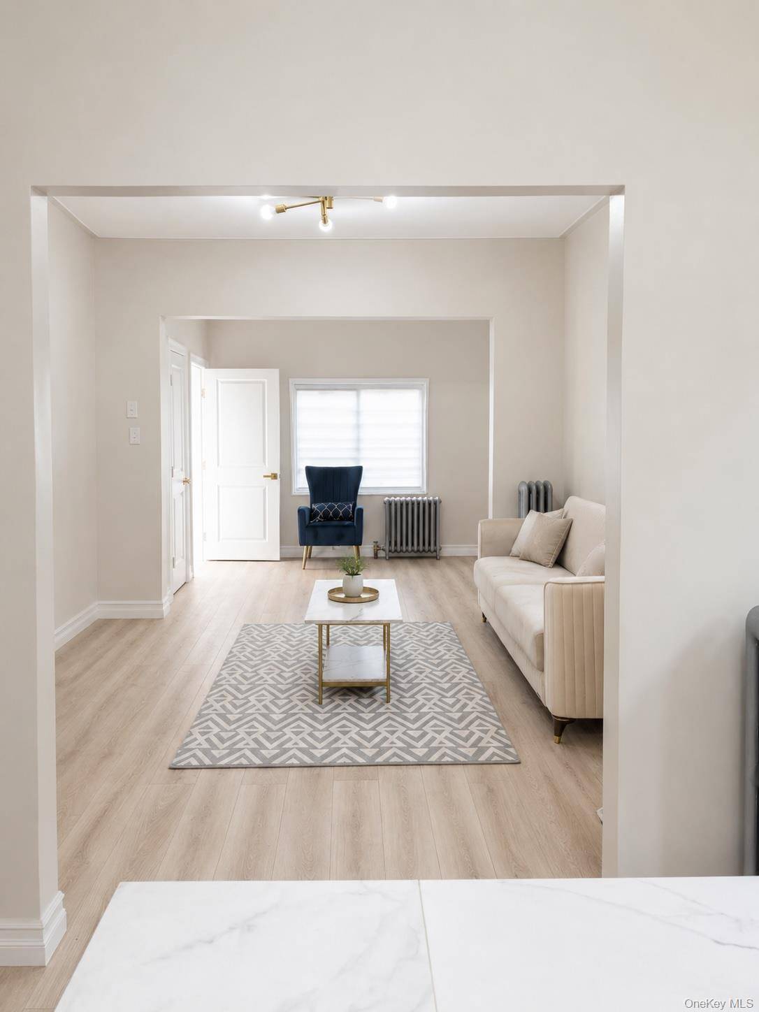 263 E 39th ST, Brooklyn, NY 11203