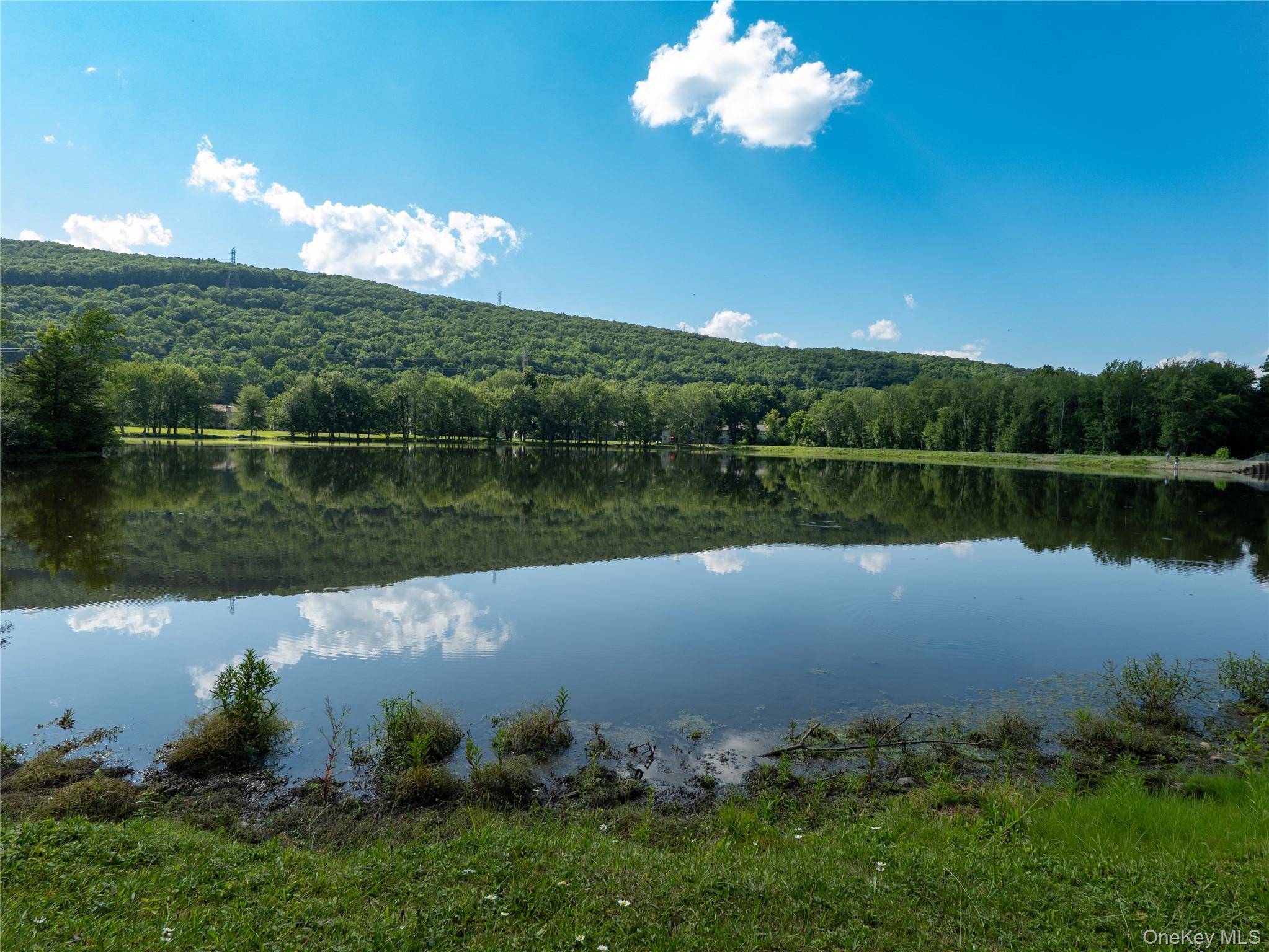 402 Mountain Laurel DR, Monroe, NY 10950