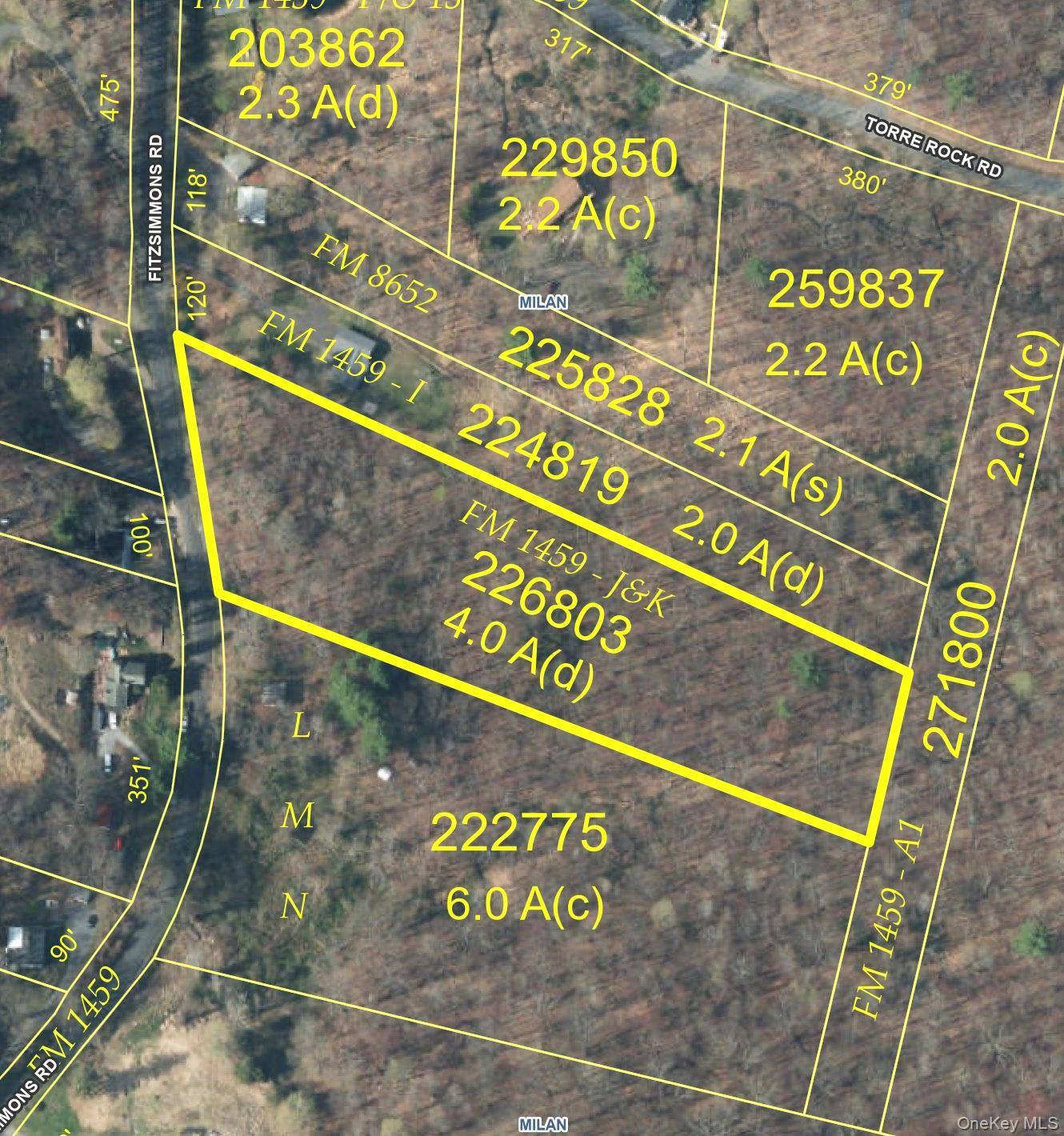 Fitzsimmons RD, Red Hook, NY 12571
