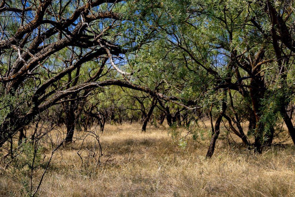 TBD County Road 242, Clyde, TX 79510