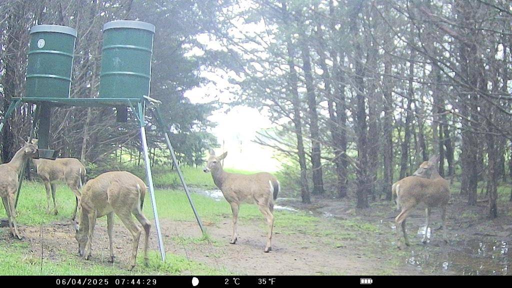 905 E Fm 120, Denison, TX 75021