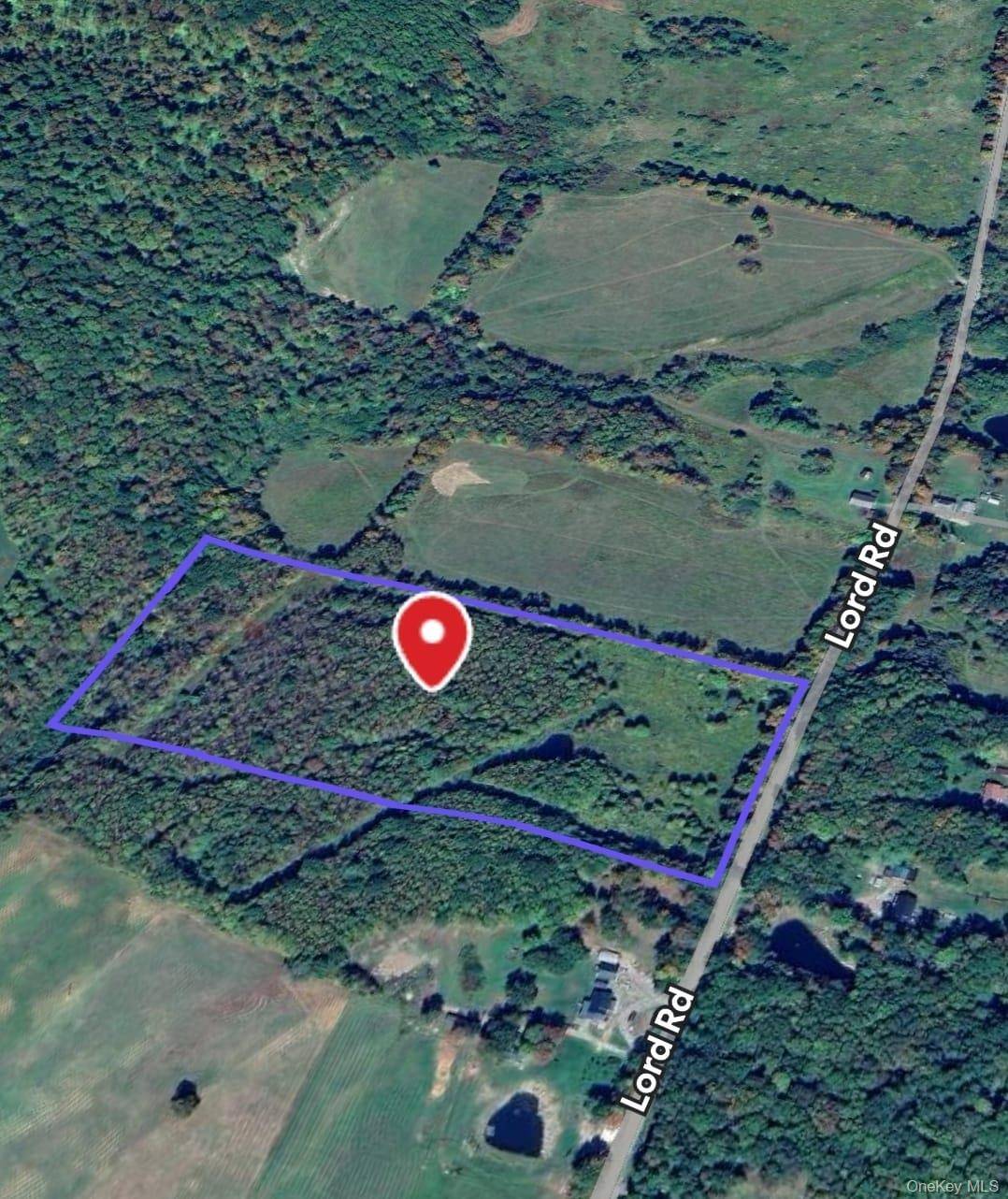 94 Lord RD, Deposit, NY 13813