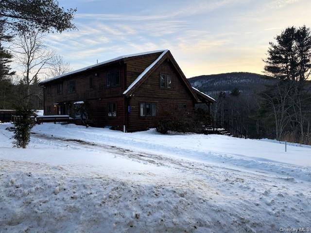 5597 Red Hill RD, Claryville, NY 12725