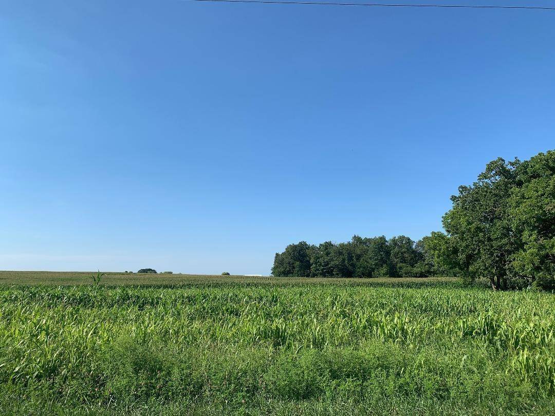 0-1 Acre 150, Rensselaer, IN 47978