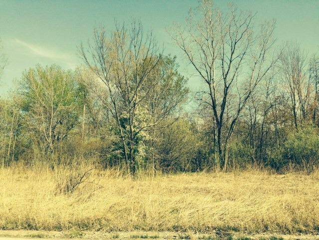 0 Springland Avenue, Michigan City, IN 46360