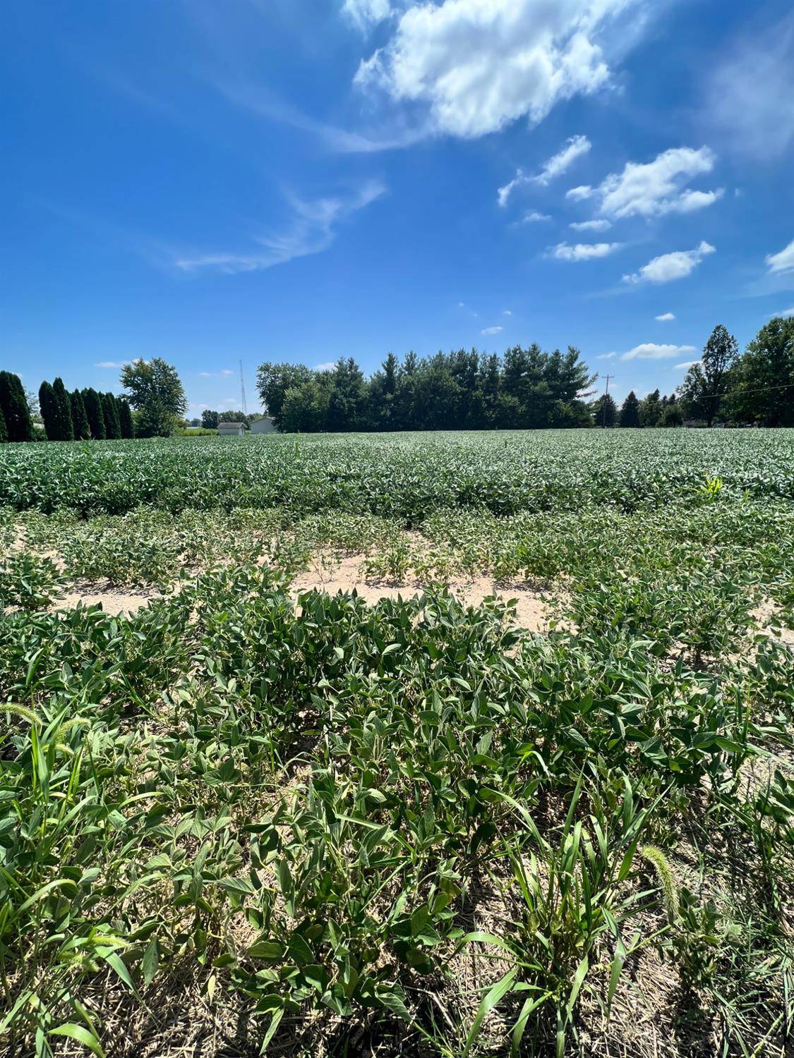 0-Lot 1 Wood Road, Rensselaer, IN 47978